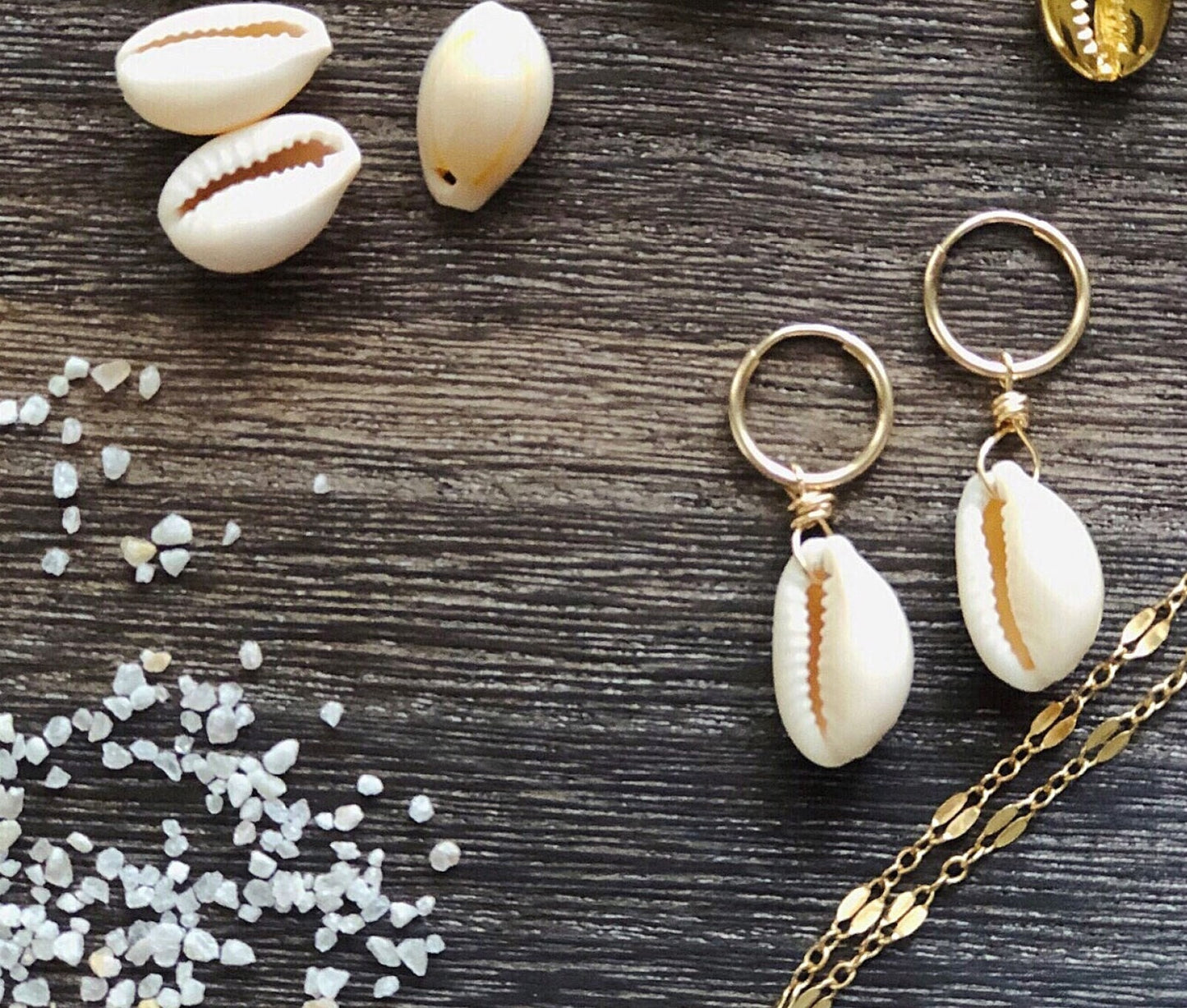 Cowrie Shell Hoop Earrings